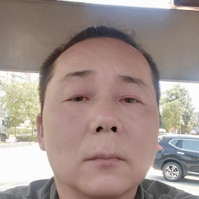 小刺猬沉静的照片
