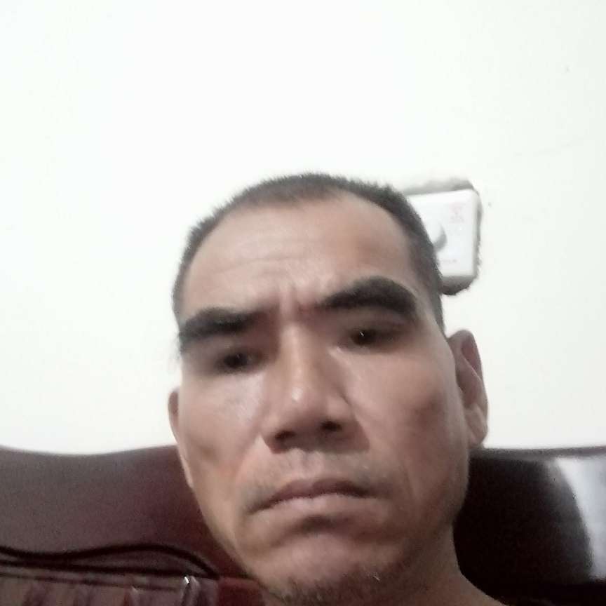 白猫保卫呆萌的照片