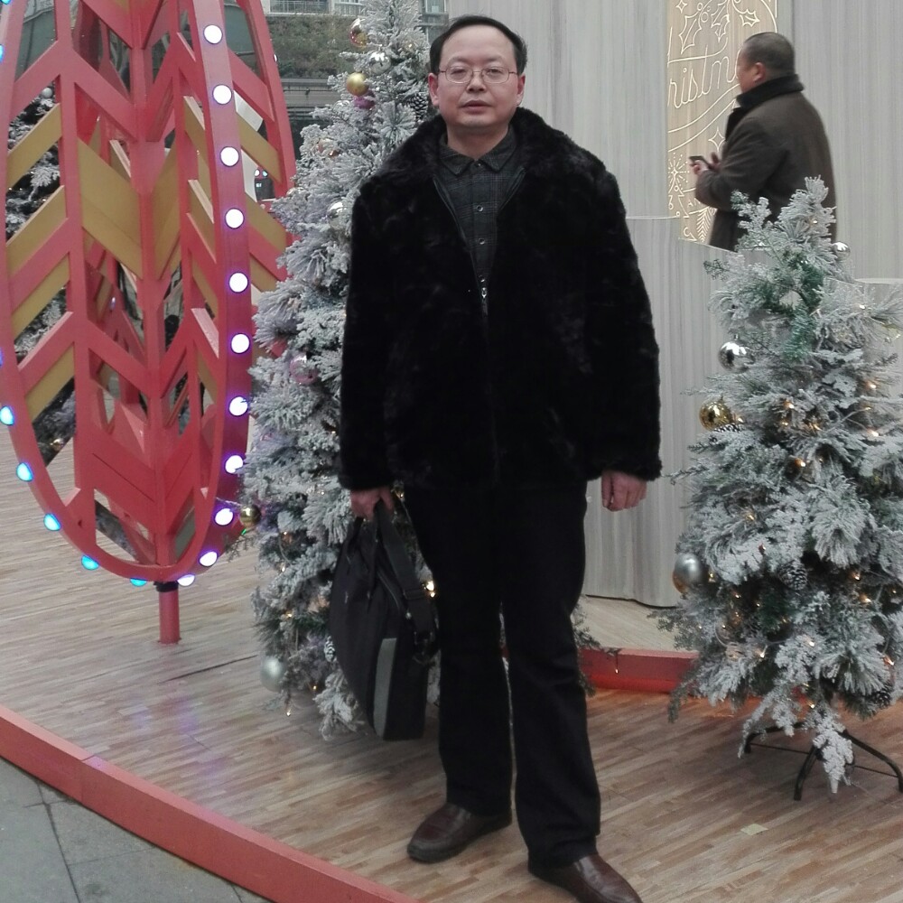 橙色梦的照片