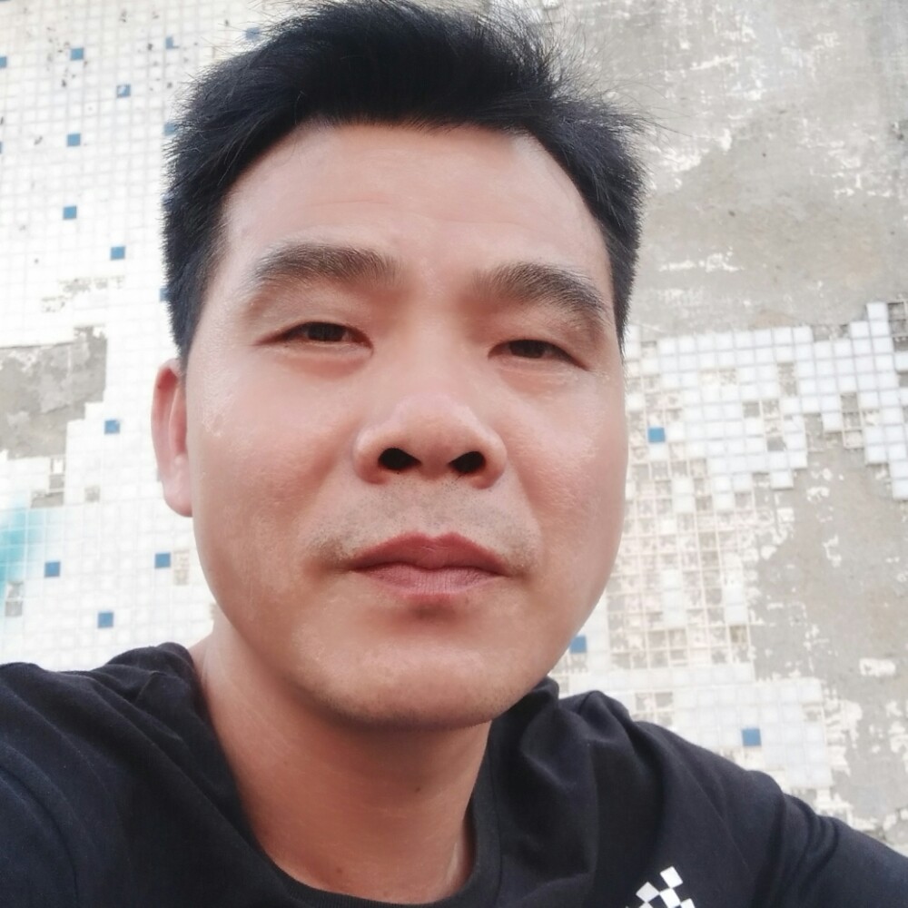 明理放弃小海豚的照片