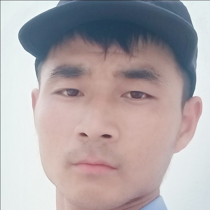 长情保卫小蜜蜂的照片
