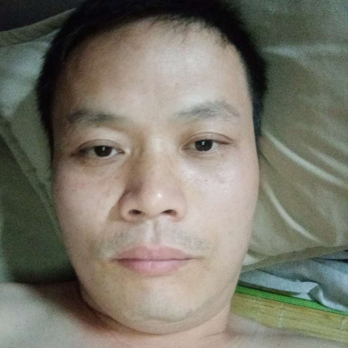 玫瑰踢绚烂的照片