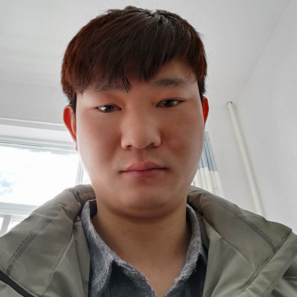 刺猬爱受伤的照片