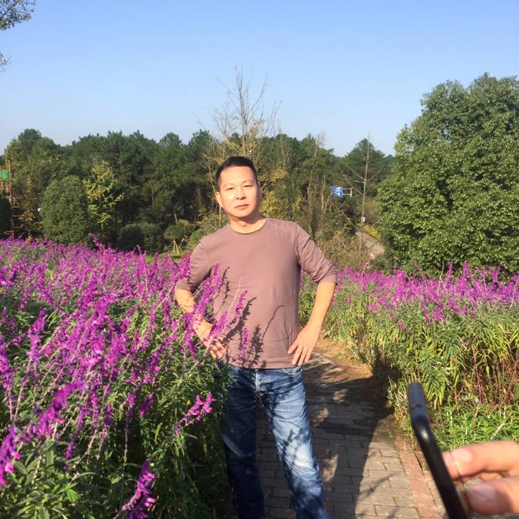 傲娇向铃铛的照片