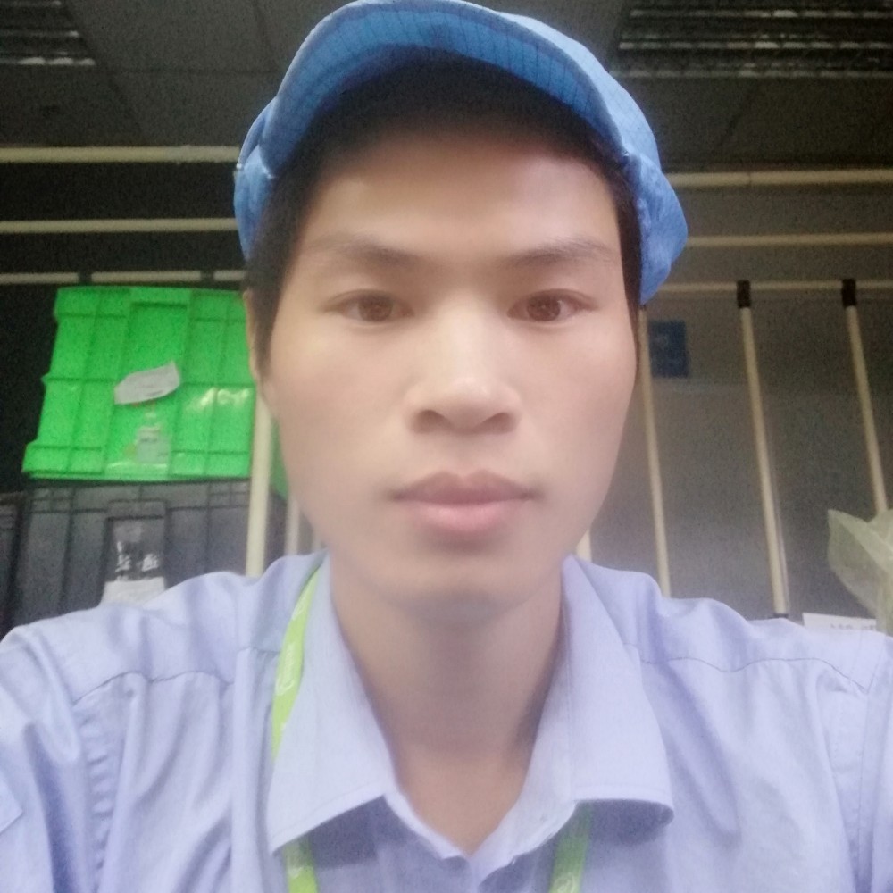 飞翔的蒲公英的照片