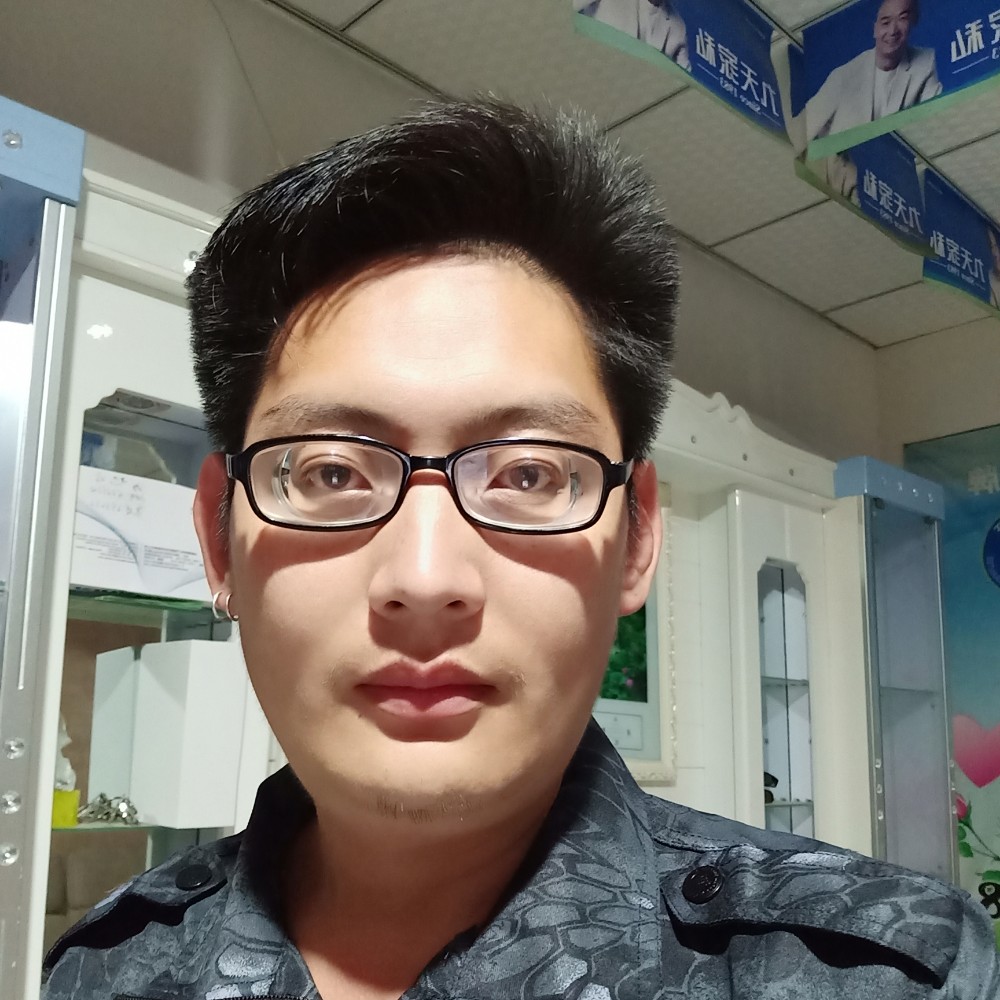 海上的叶子的照片