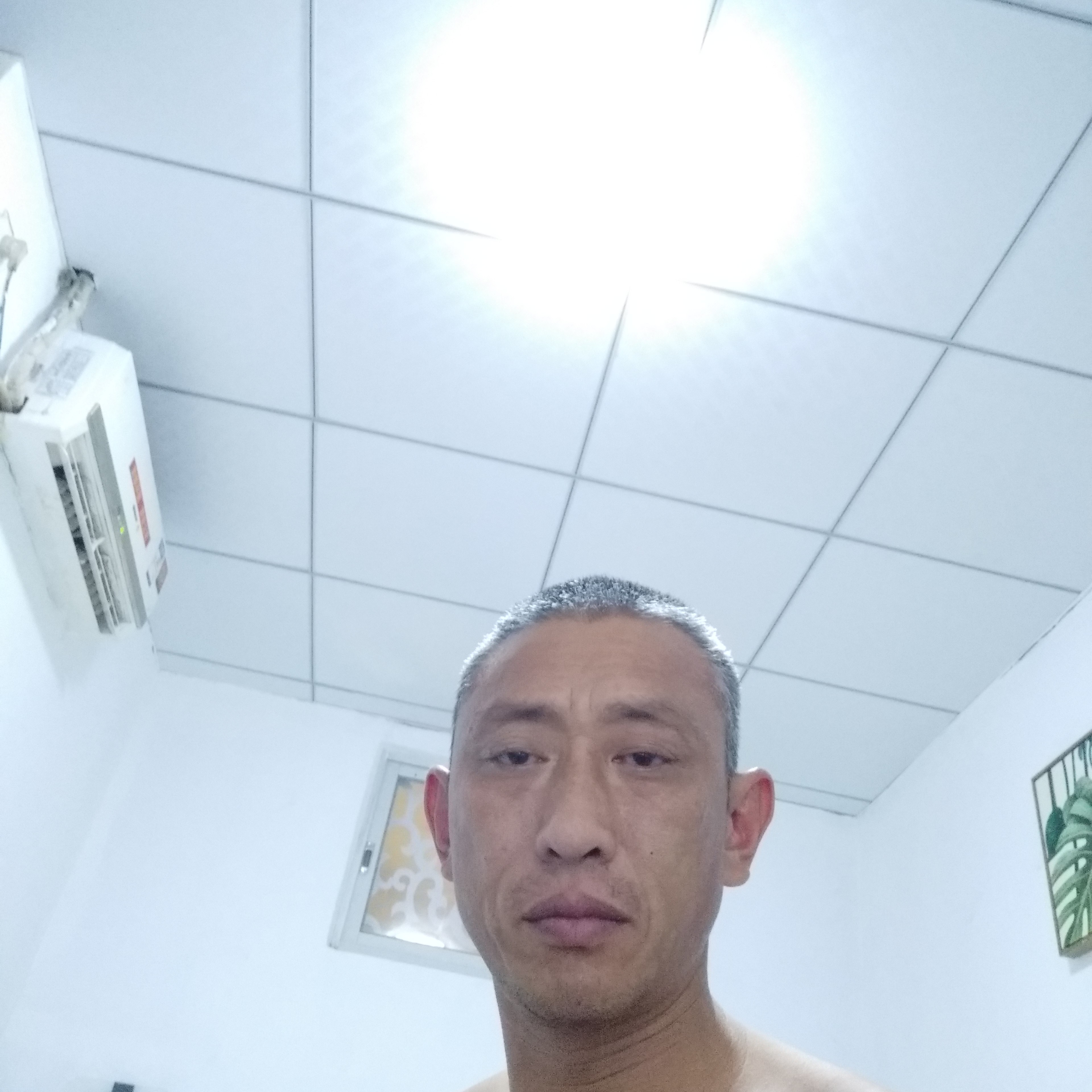 苗条有飘逸的照片