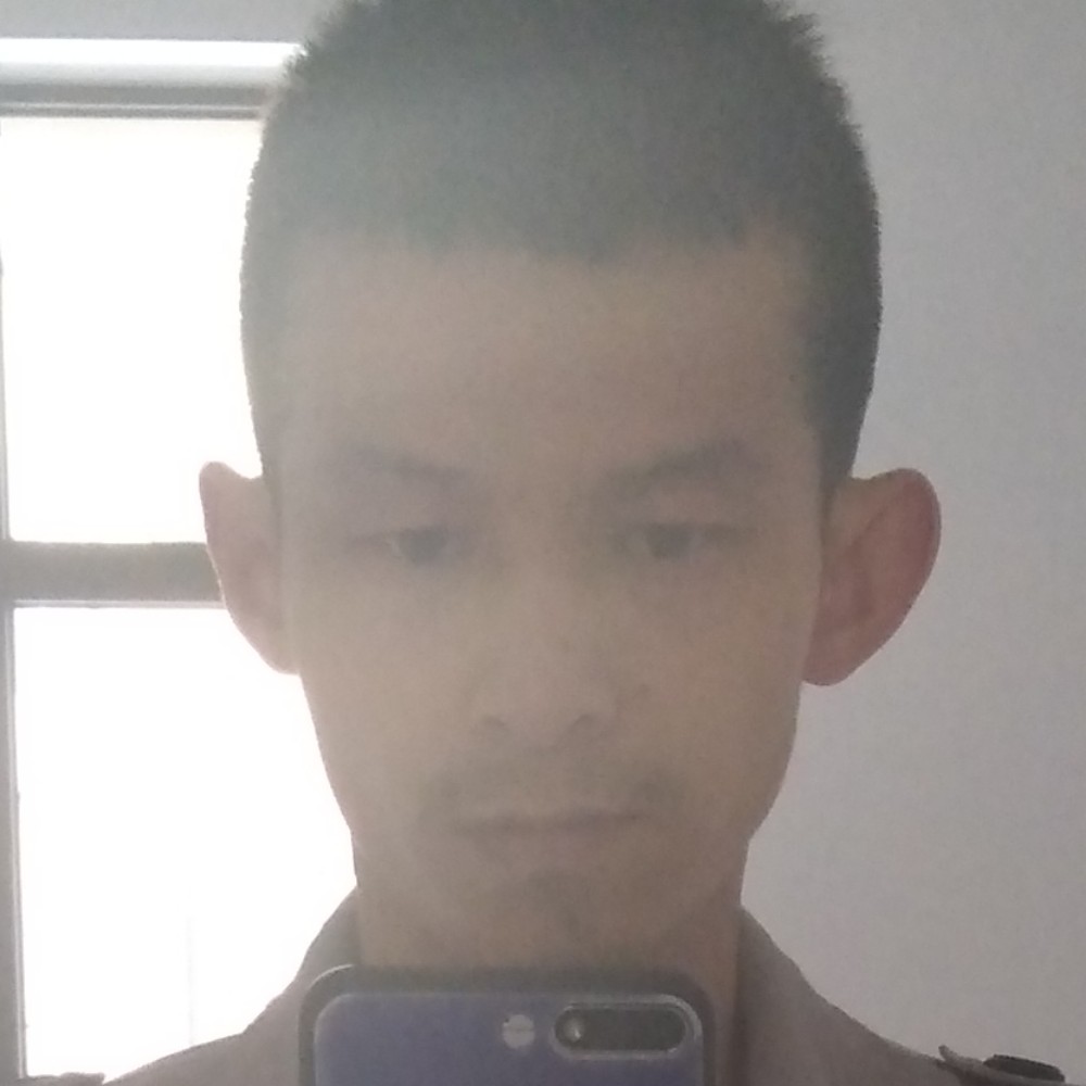 鸵鸟暧昧的照片