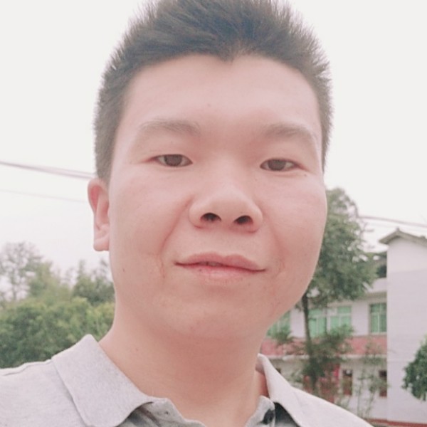 月光下的风尾竹的照片