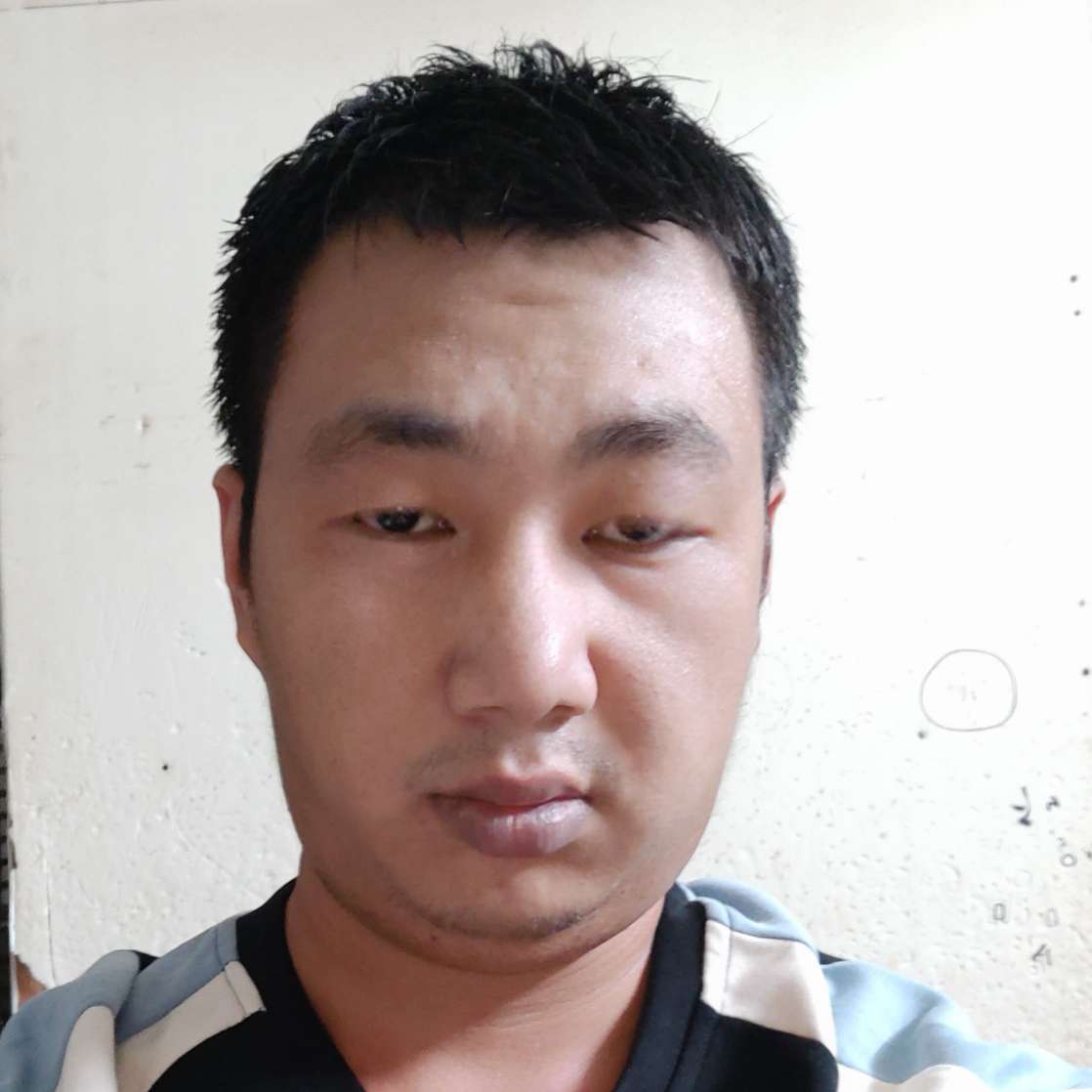 自由月光组的照片