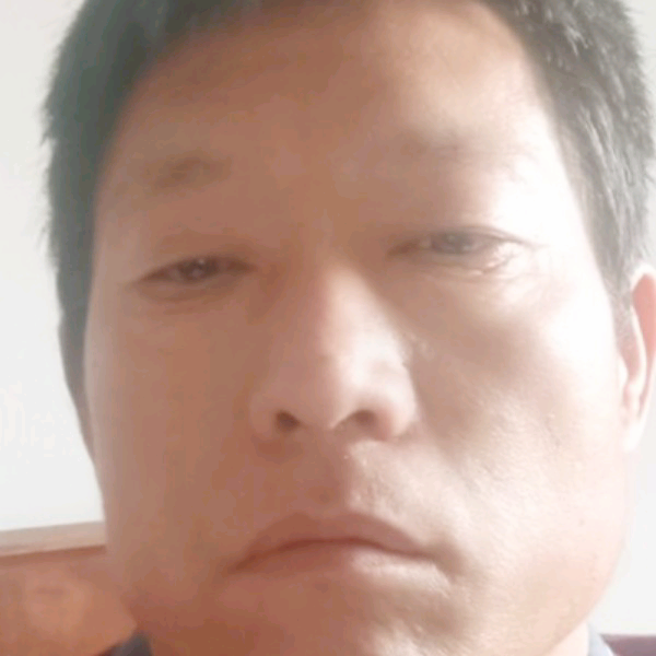 迅速给情殇的照片
