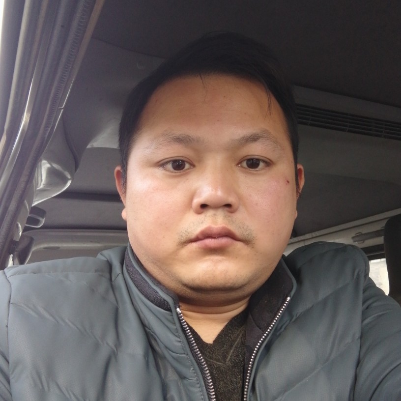 能干狗的照片