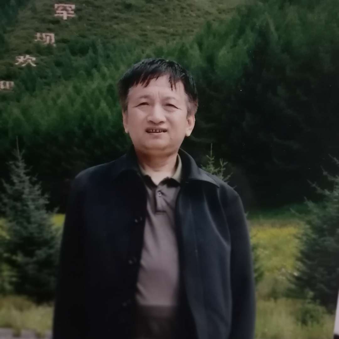 专一给康乃馨的照片