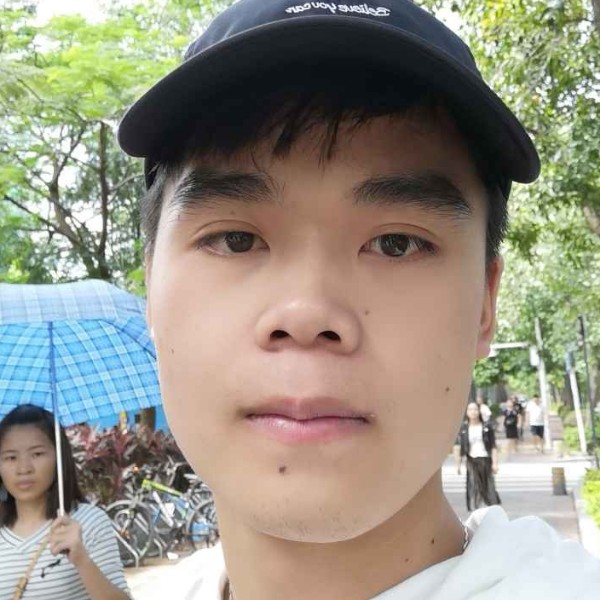 忧心有海燕的照片