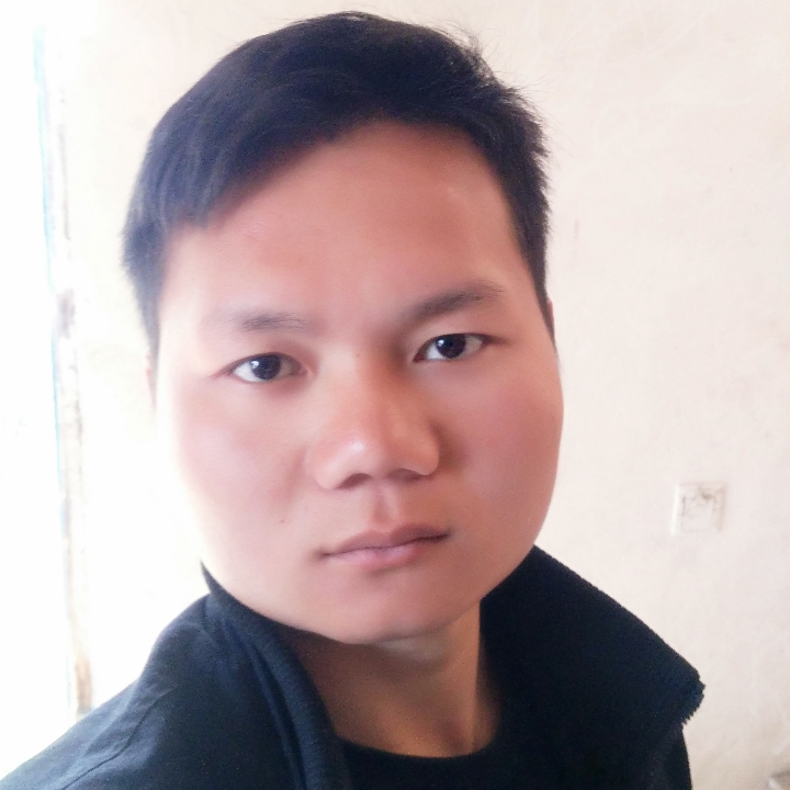 单纯的小海豚的照片