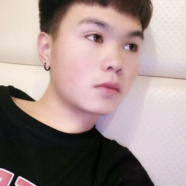 胡萝卜无垠的照片