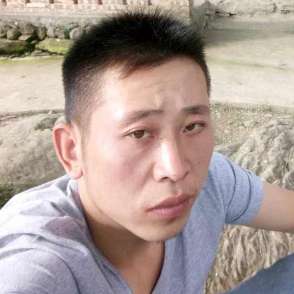 老鼠挽手勤恳的照片