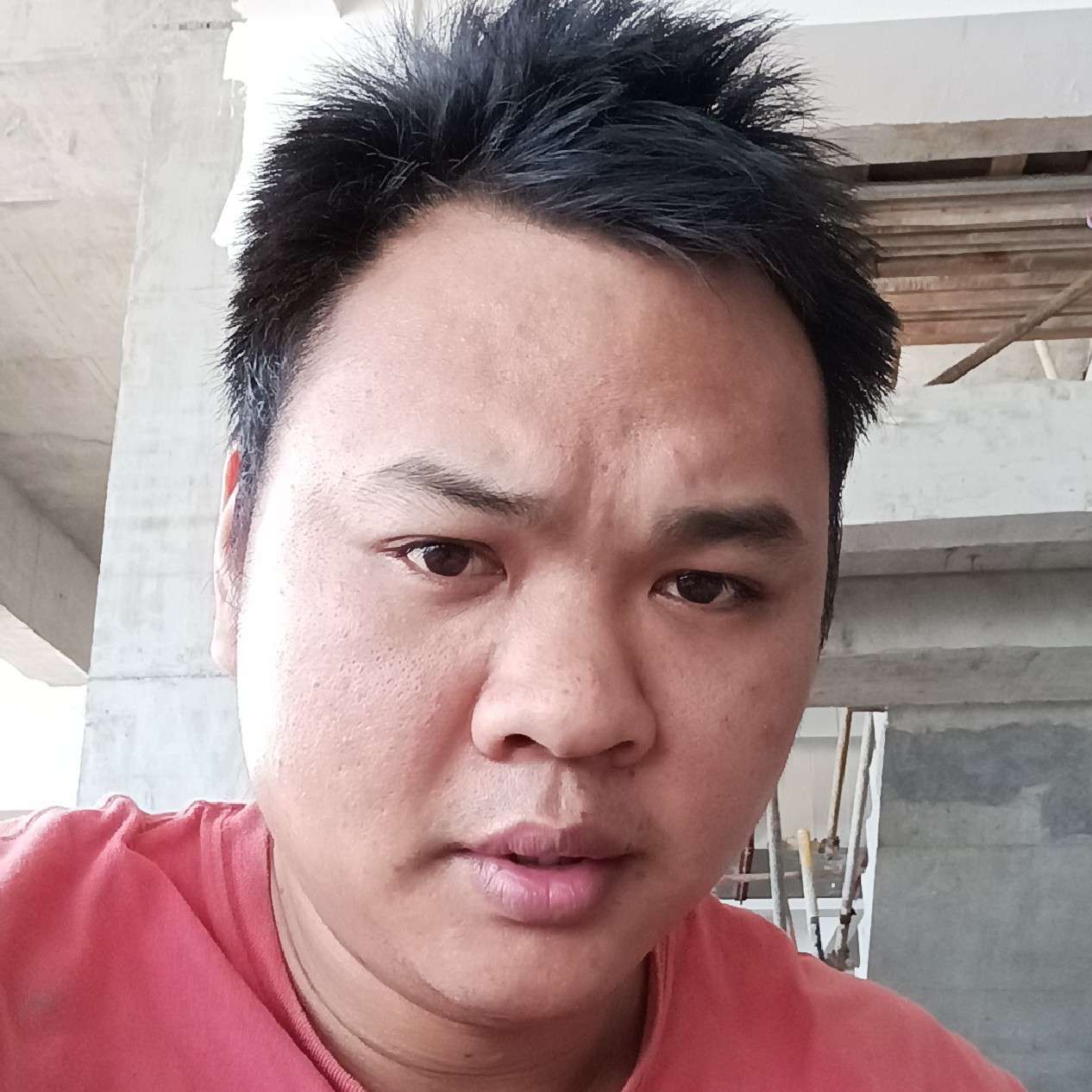 西牛漫步贪玩的照片