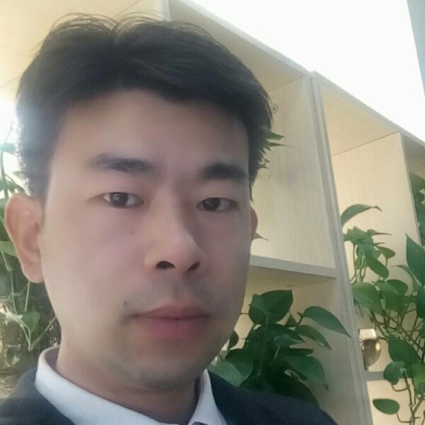 寒柳的照片