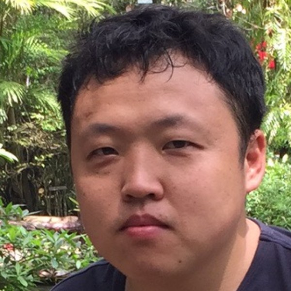 森林模式的照片