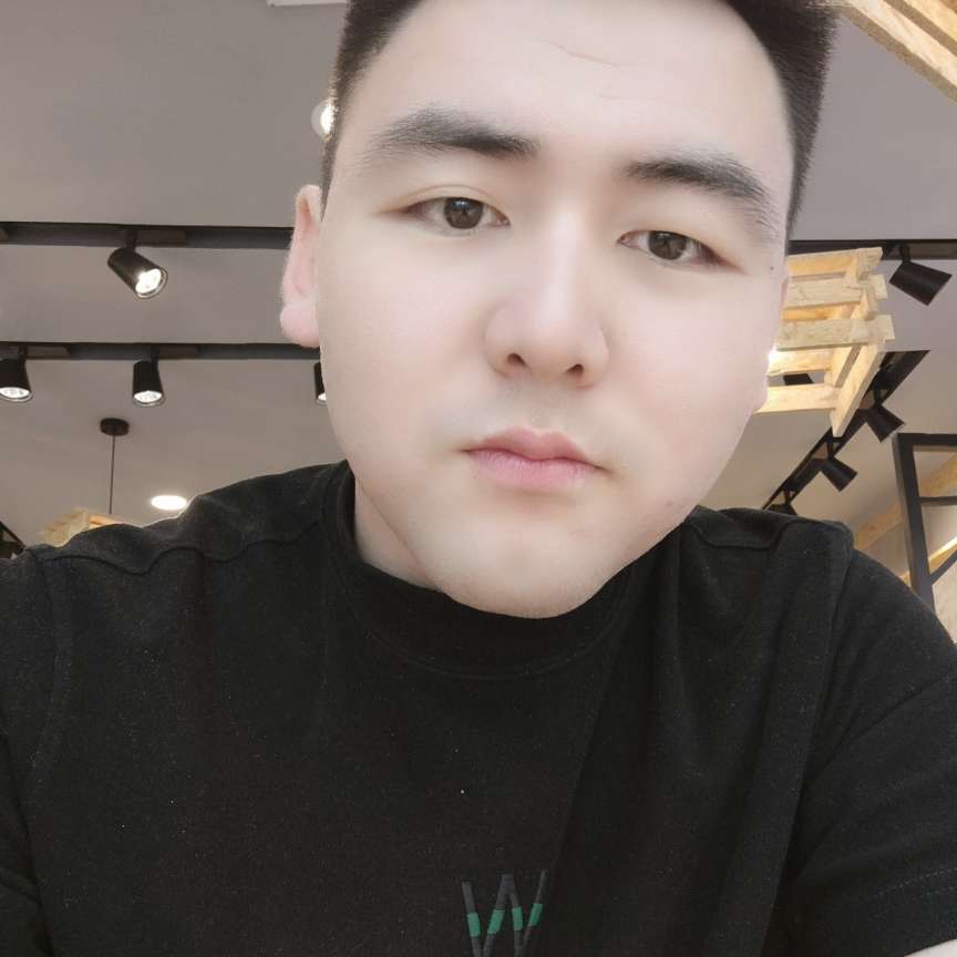 孤單等于飞鸟的照片