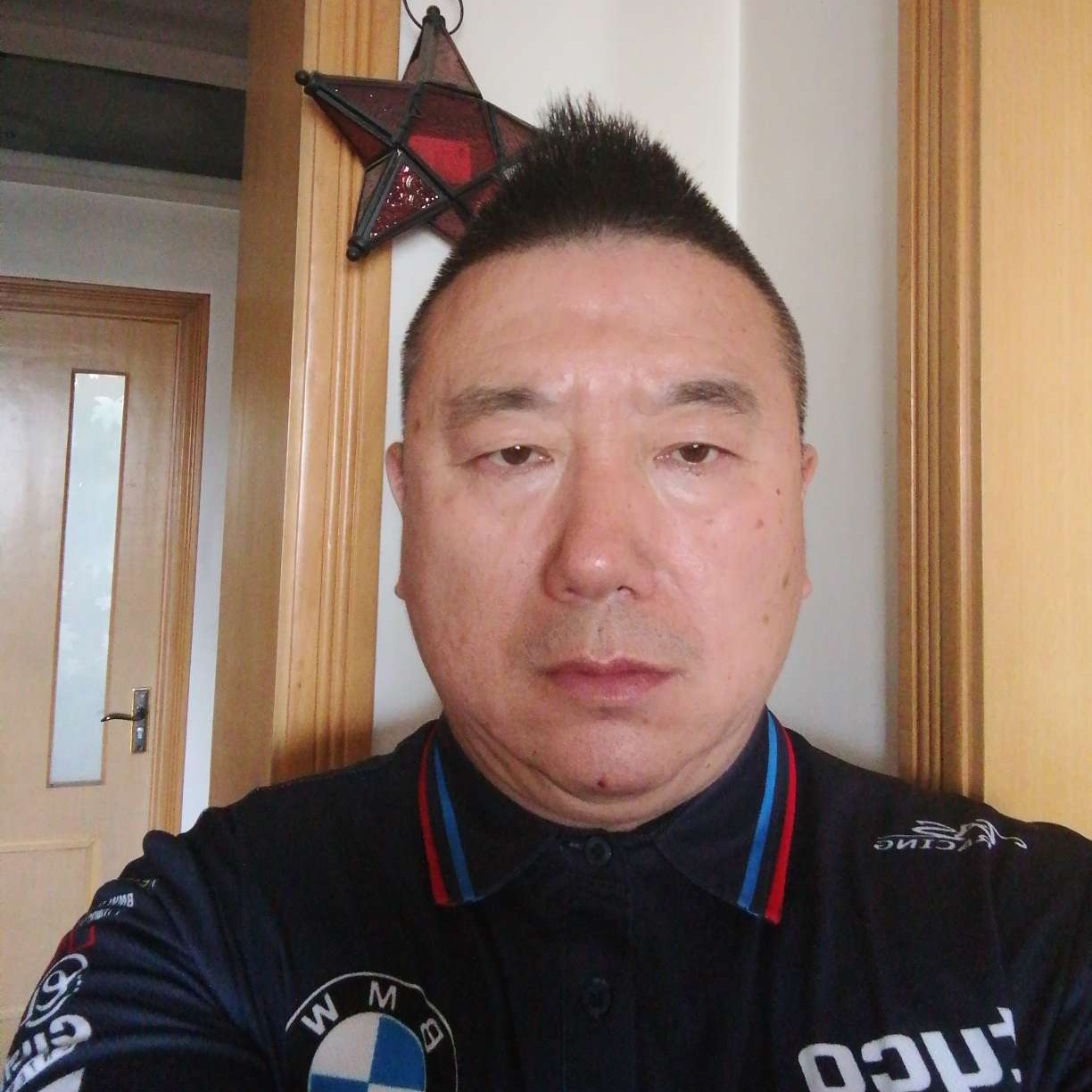 银背大猩猩的照片