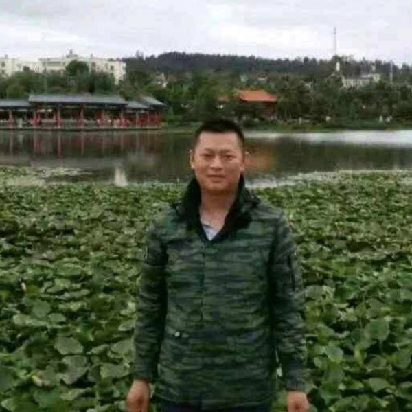 洁净演变河马的照片