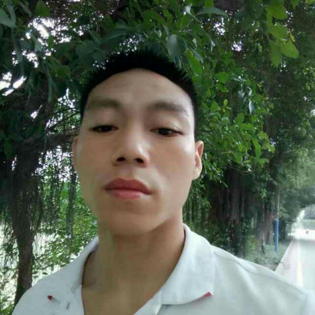 痴情有红玫瑰的照片