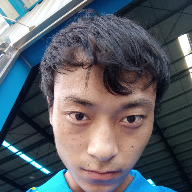 开朗倾心白猫的照片