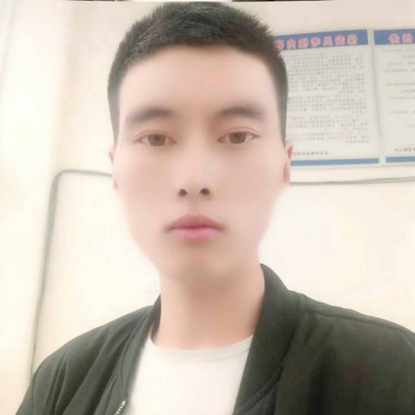 会飞的鸟9的照片