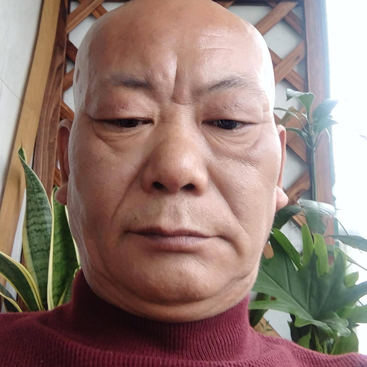 人生一回的照片