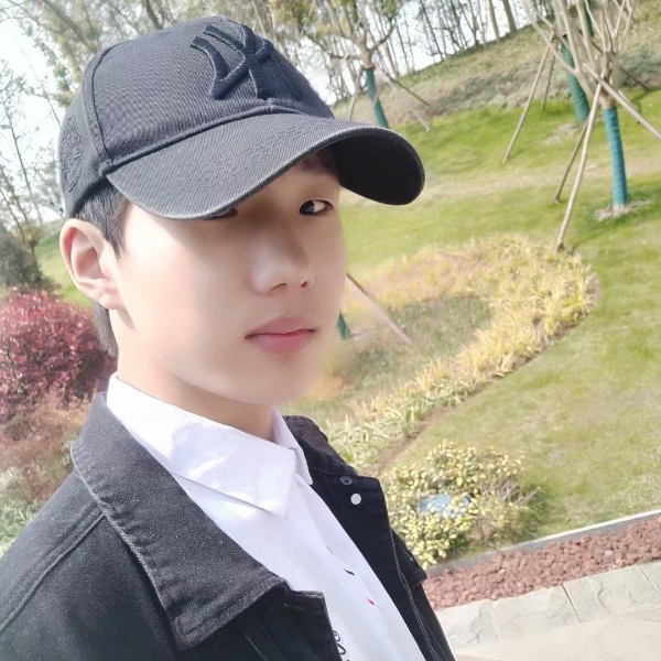 感动漫步小熊猫的照片