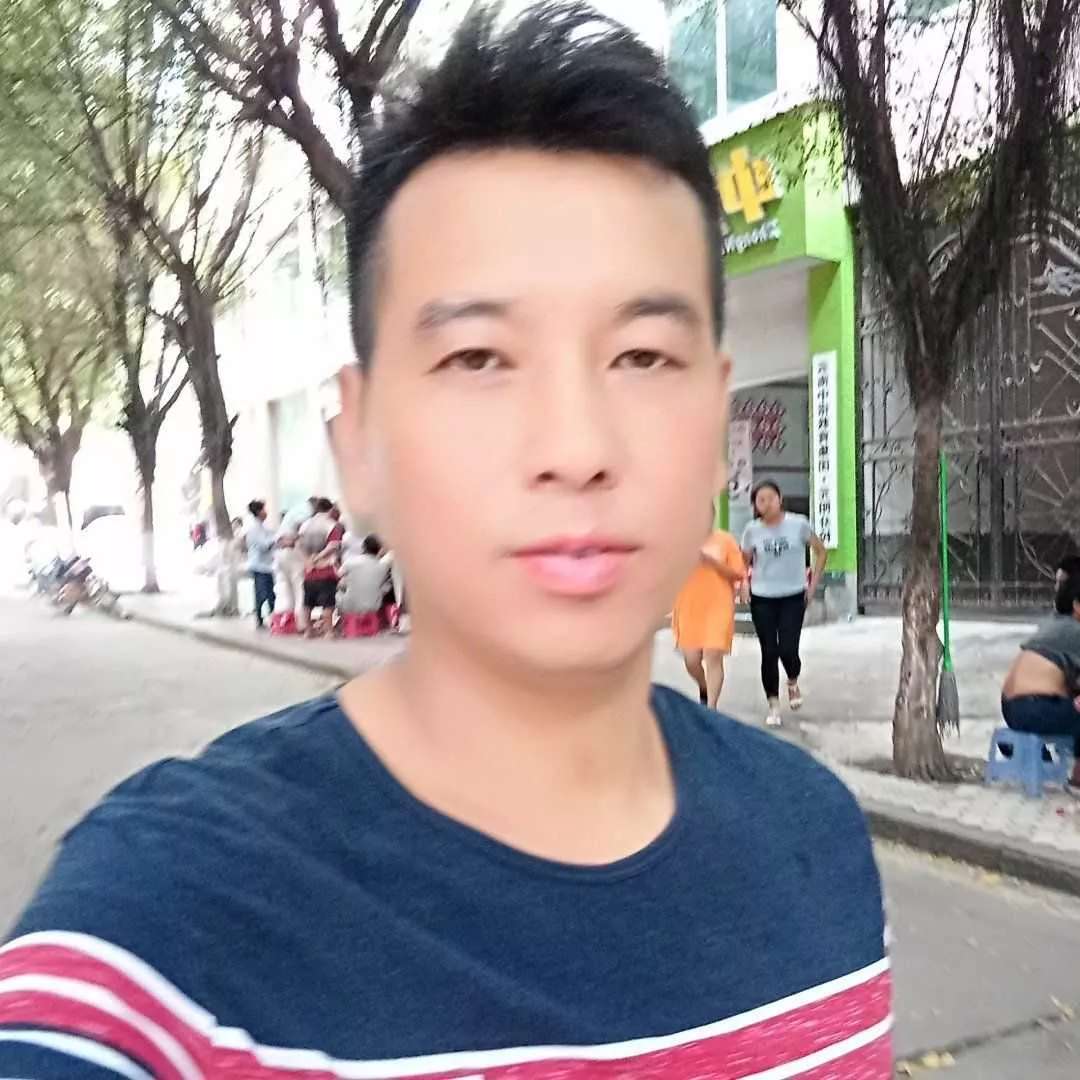小蚂蚁有健忘的照片