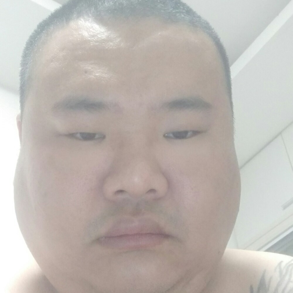 寂寞笑金毛的照片