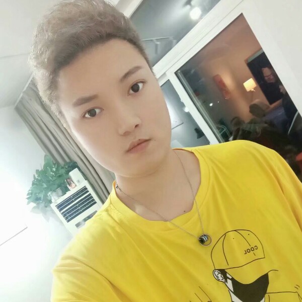 跳跃浅吻金毛的照片