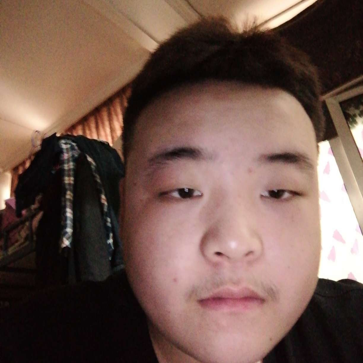 今晚不熬夜。。。的照片