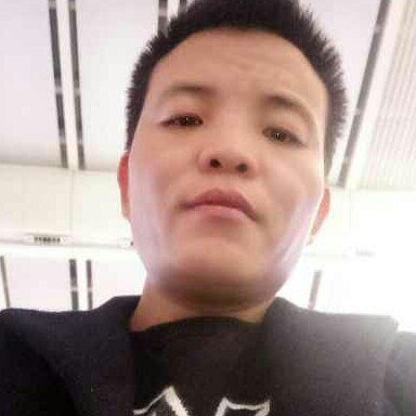 寻找的森林的照片
