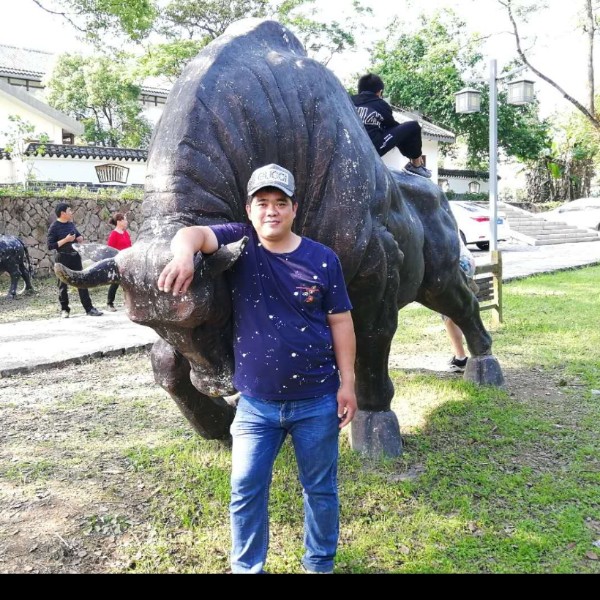 小天鹅调皮的照片