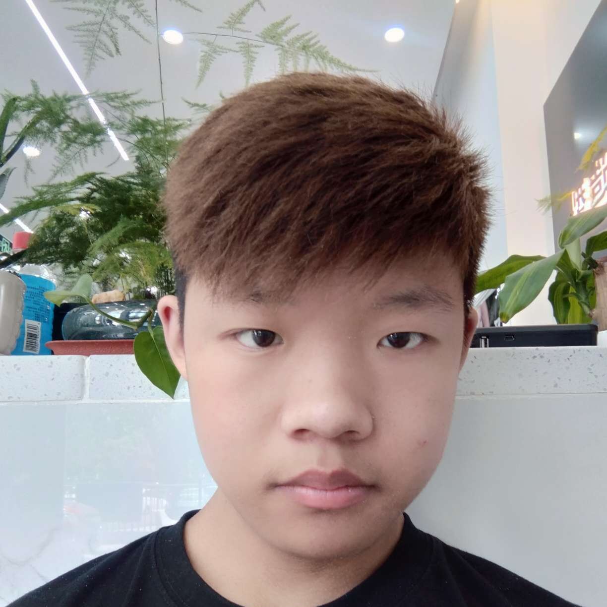 蜻蜓漫步温暖的照片