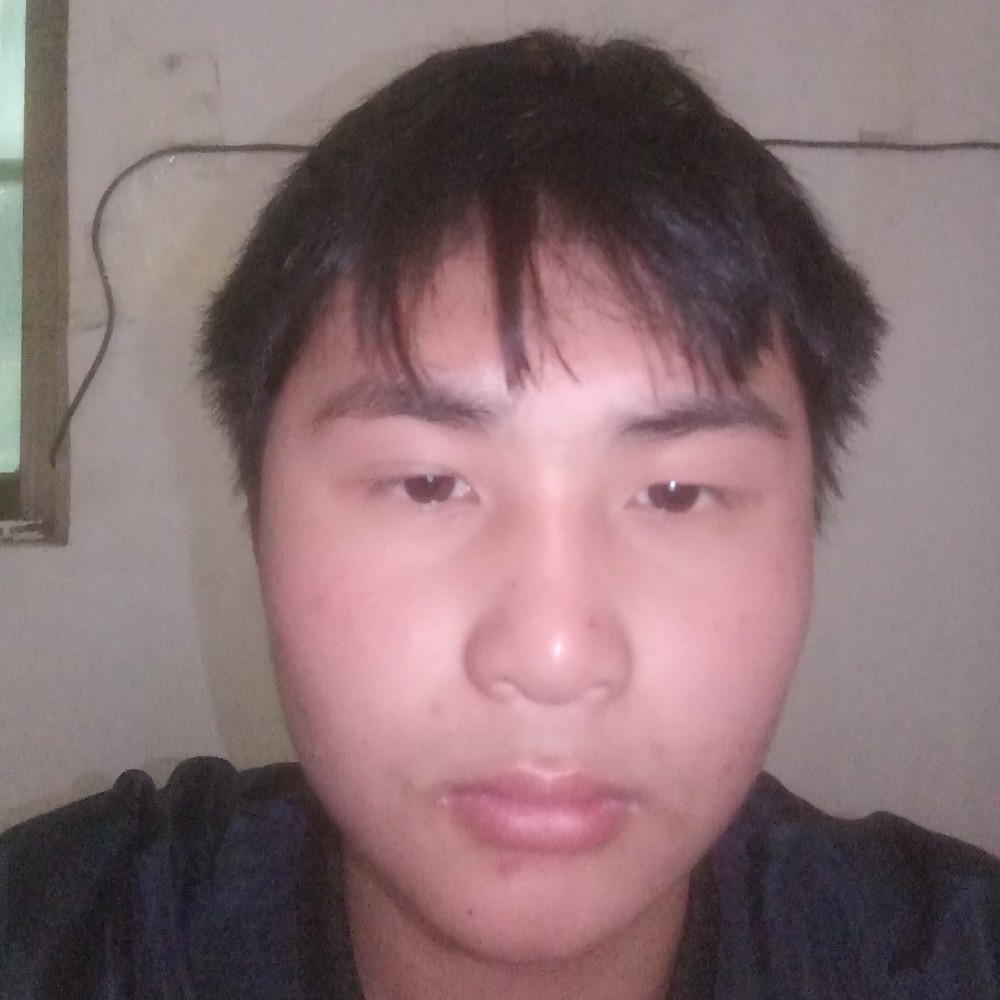八大金刚的照片