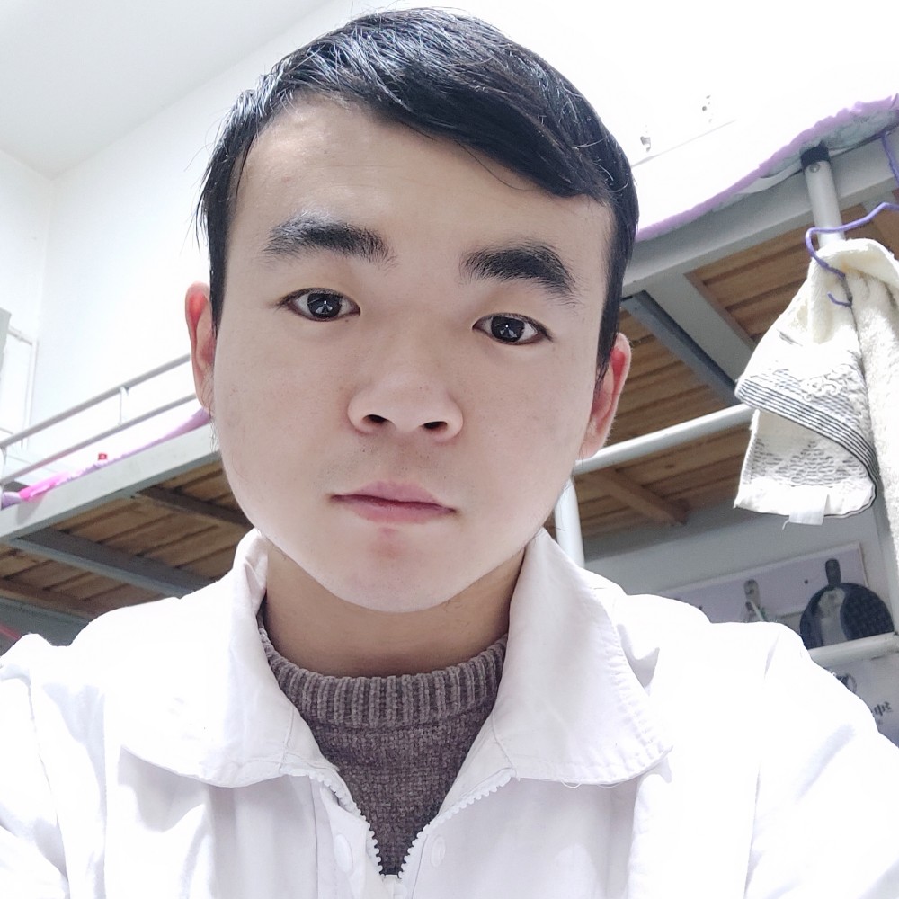 沉静回首小猫咪的照片