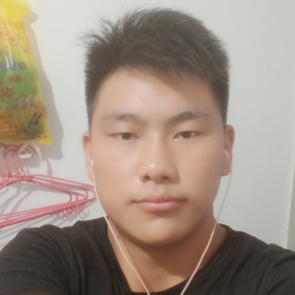 孤心停止阳光的照片