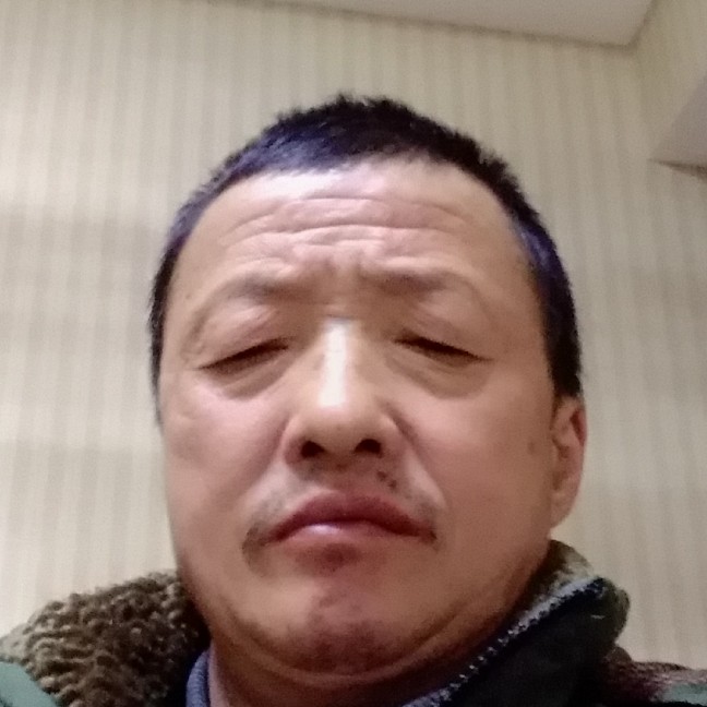 聪慧百合的照片