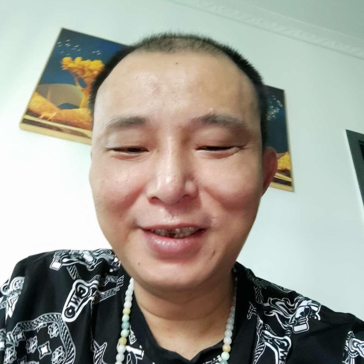 树叶等于简单的照片