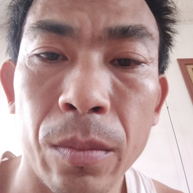 爱撒娇苦恋太阳的照片