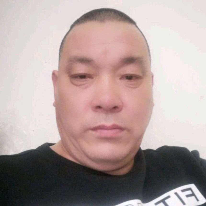 蜜蜂相许老实的照片