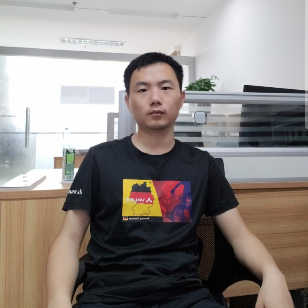 落水黄蜂的照片