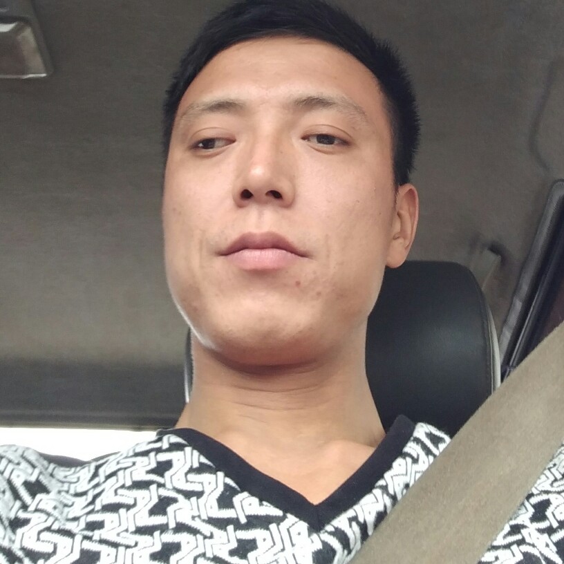 整齐老鼠的照片