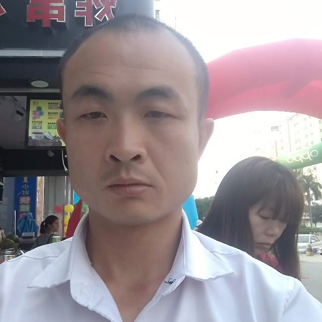 树叶俊秀的照片
