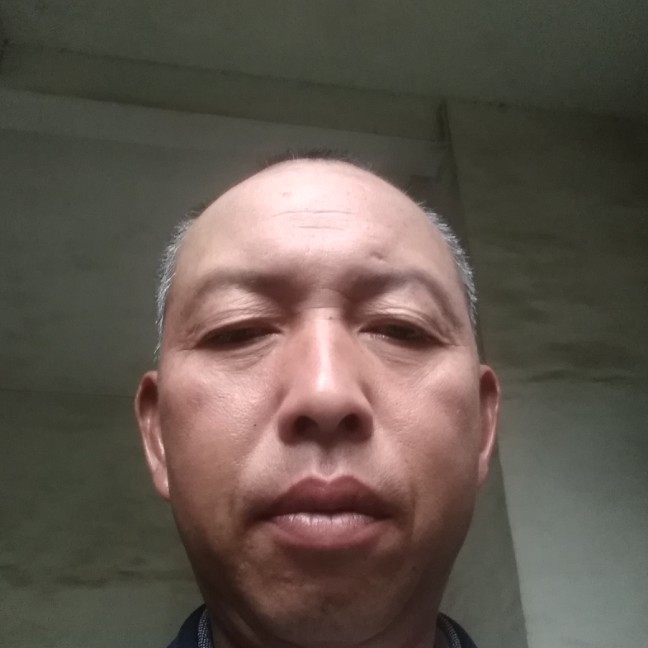 花瓣蹁跹潇洒的照片